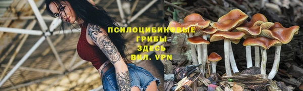 кристаллы Сатка
